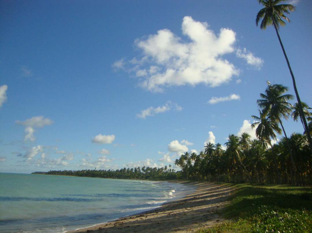 Patacho Beach景点图片