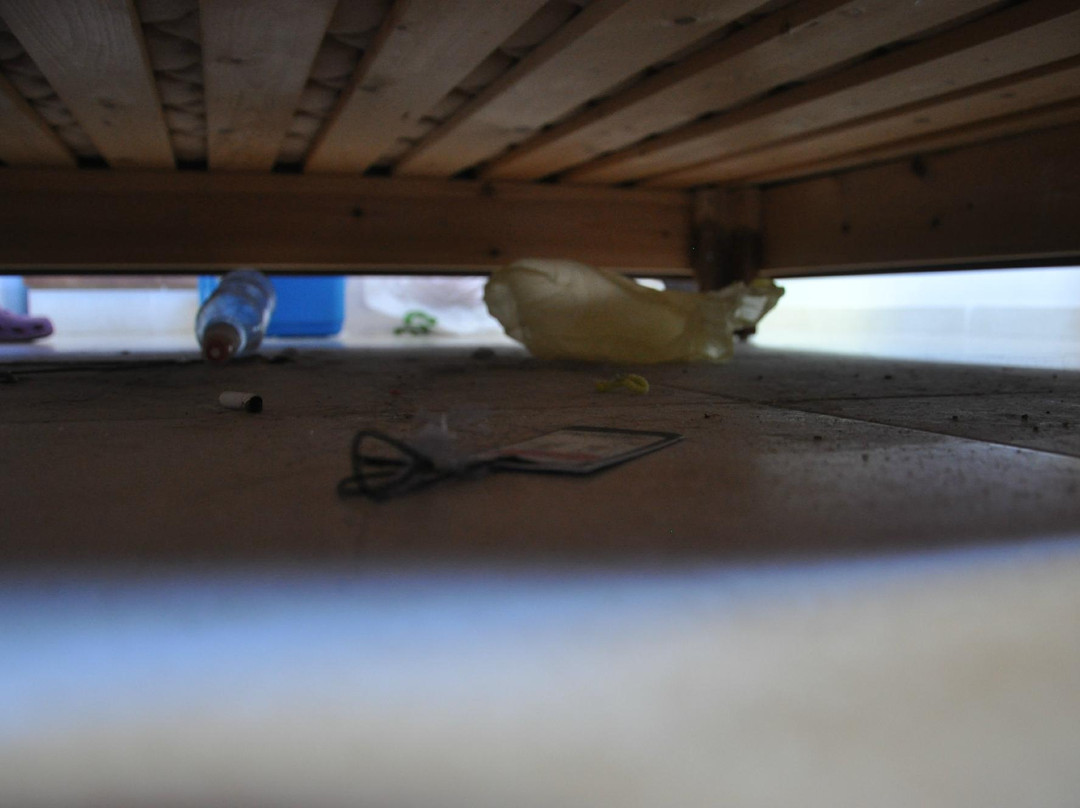 Aviv Spring Hostel主图