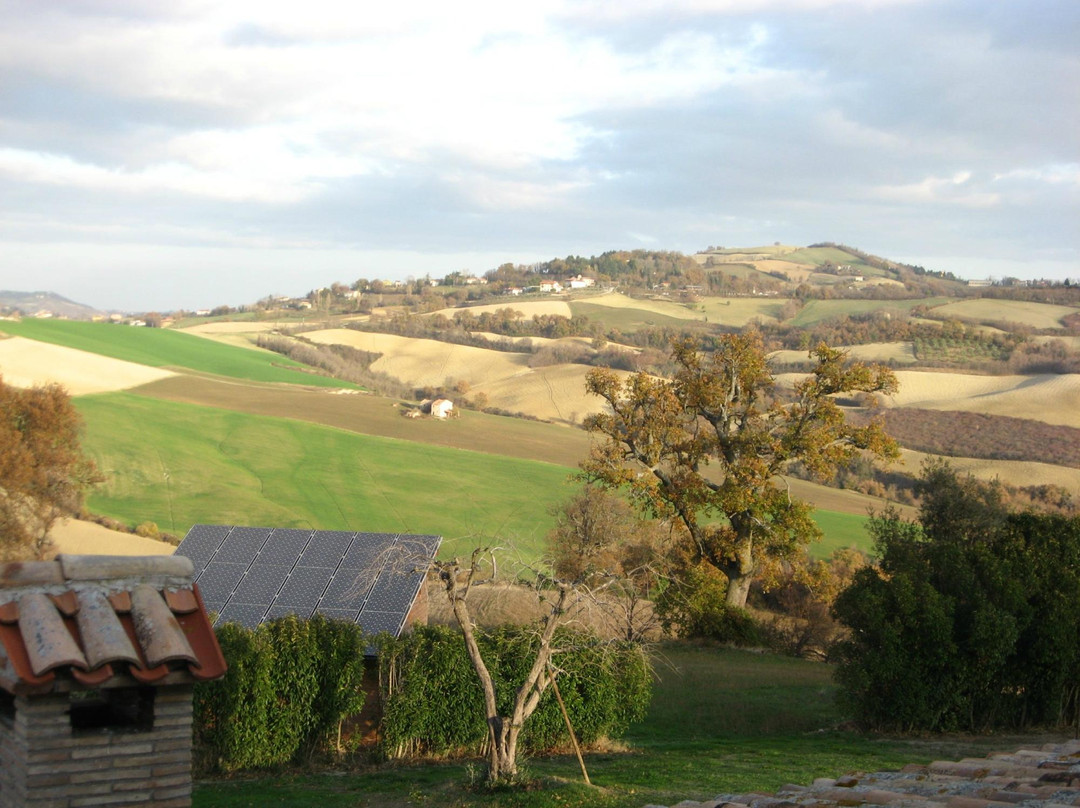 Il Podere