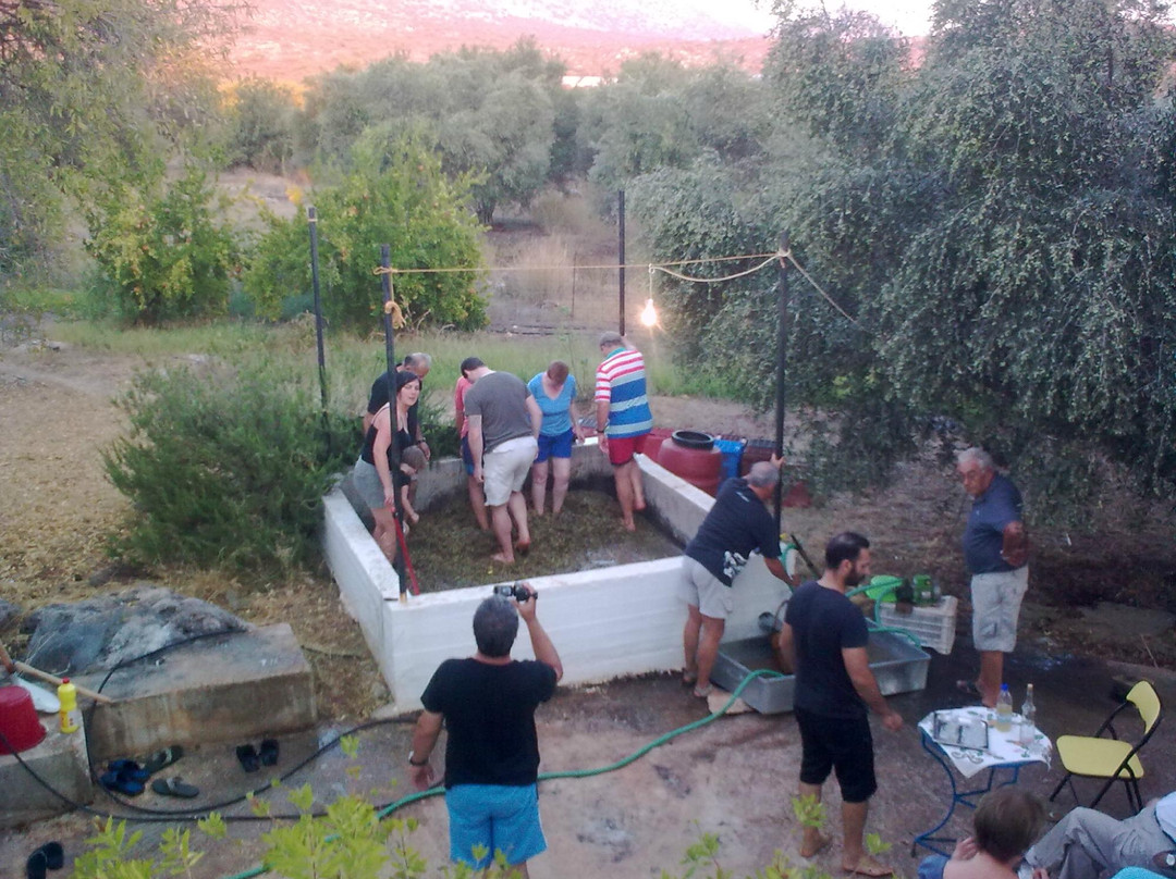 Paradisio Baby & kinder hotel主图