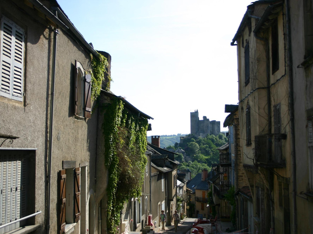 Forteresse Royale De Najac-Najac必去景点