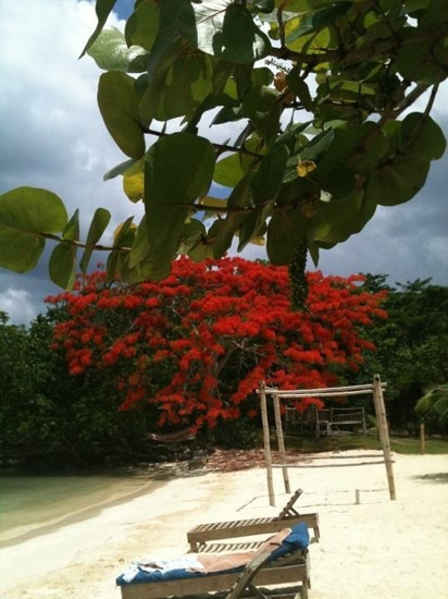 Half Moon Beach-内格里尔必去景点