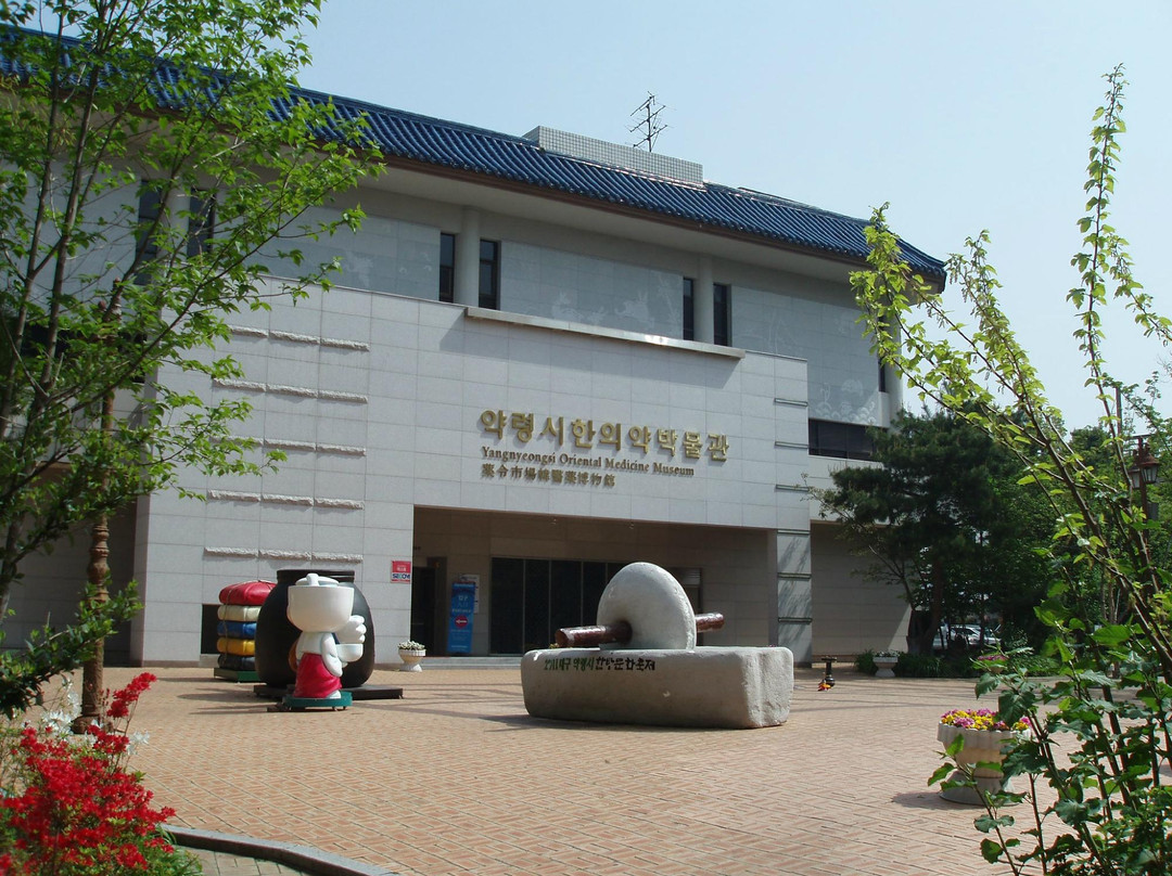 大邱旅游景点-Daegu Yangnyeongsi Museum of Oriental Medicine