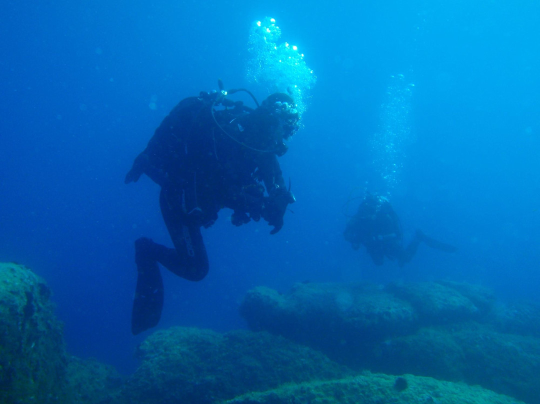 Abyss Diving & Water Sports Center景点图片