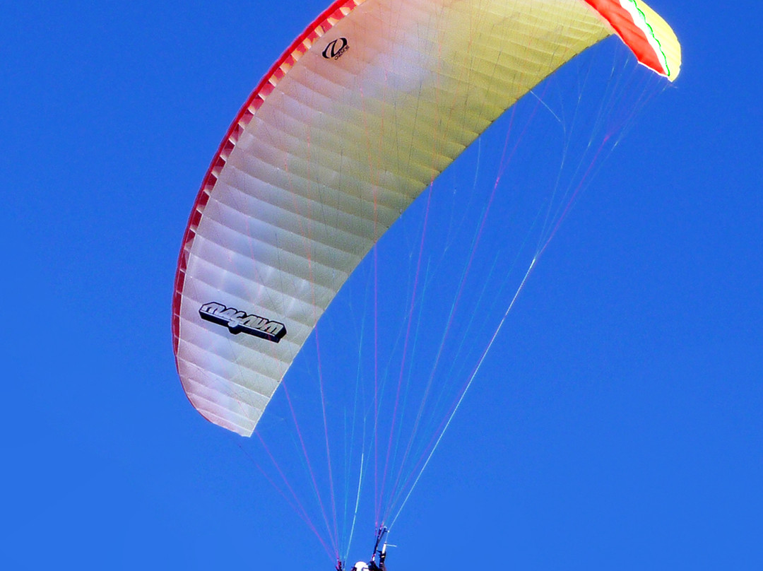Discover Paragliding-Warrenton必去景点