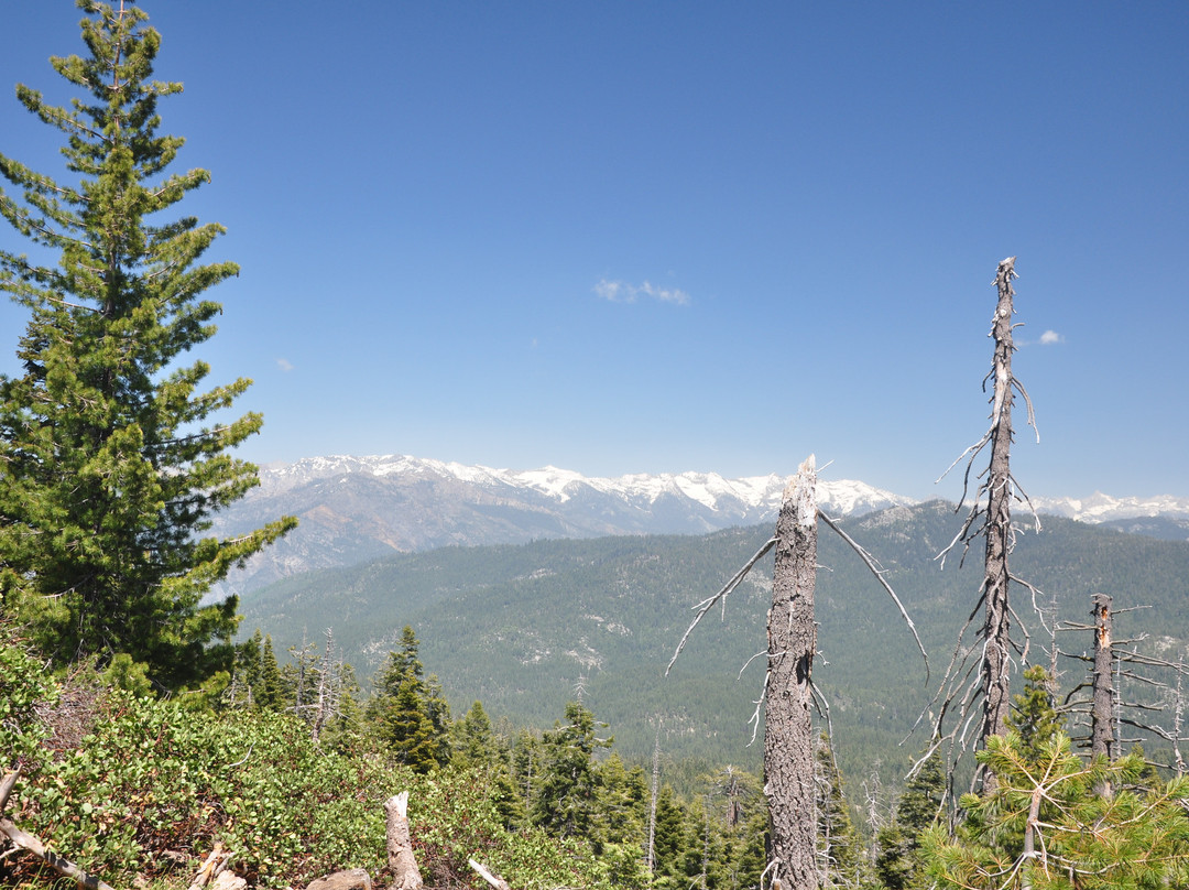 Panoramic Point-红杉&国王峡谷国家公园必去景点