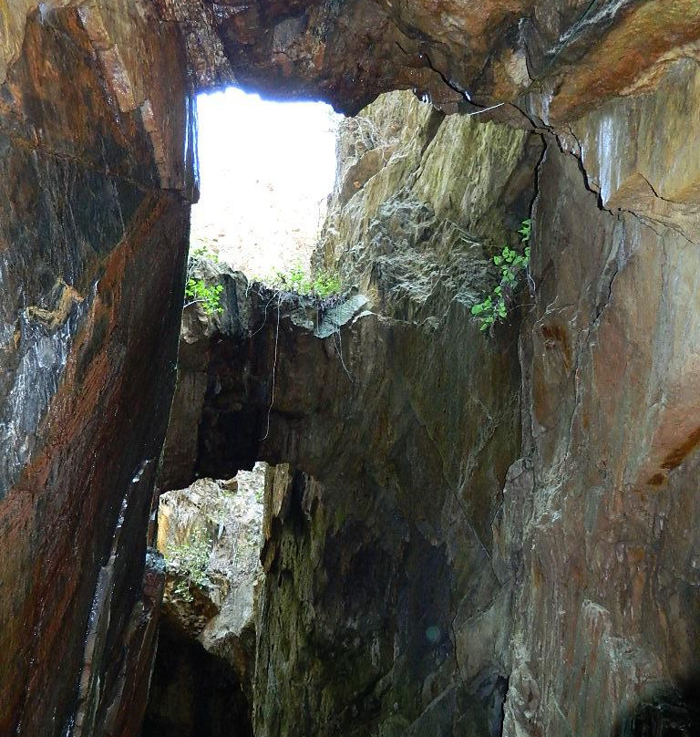 Consolidated Gold Mine-达洛尼加必去景点