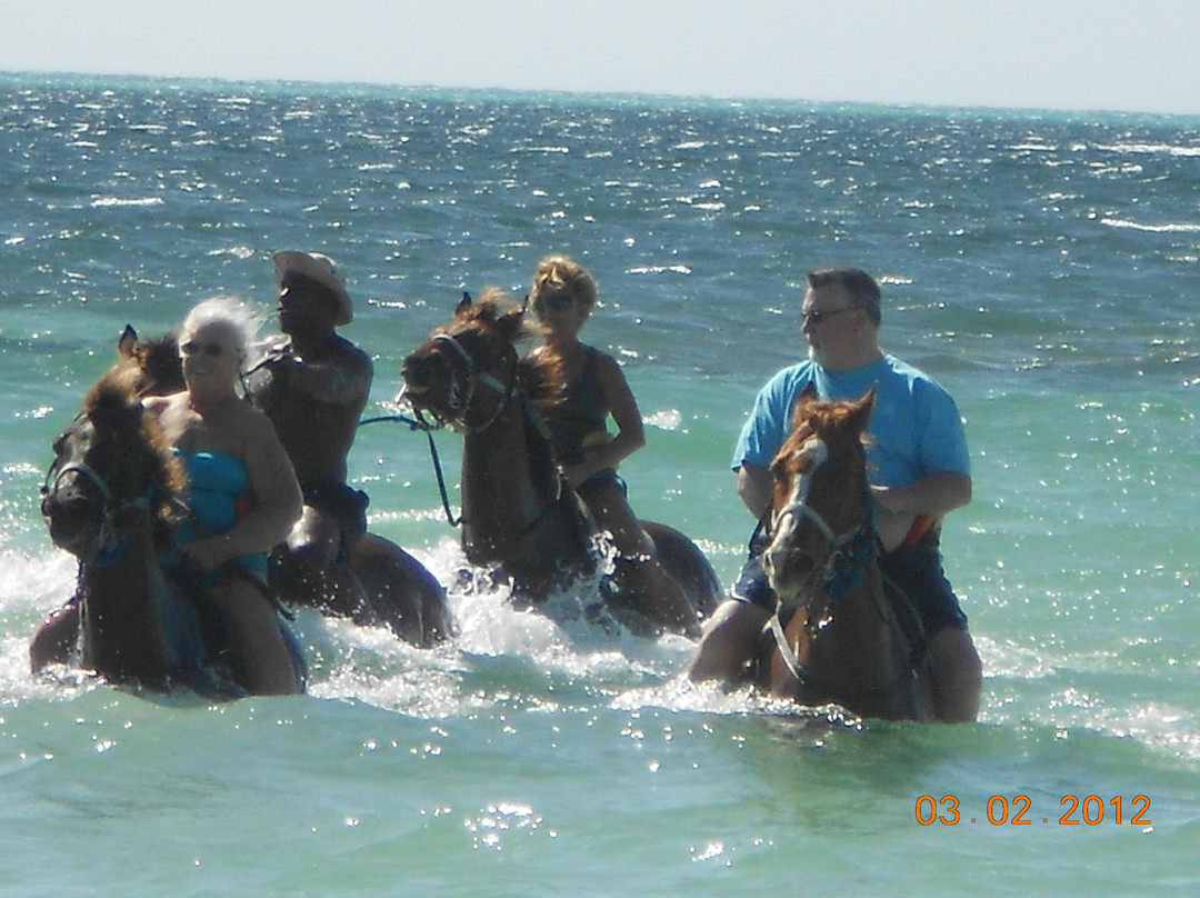 Grand Turk Cruise Center-Cockburn Town必去景点