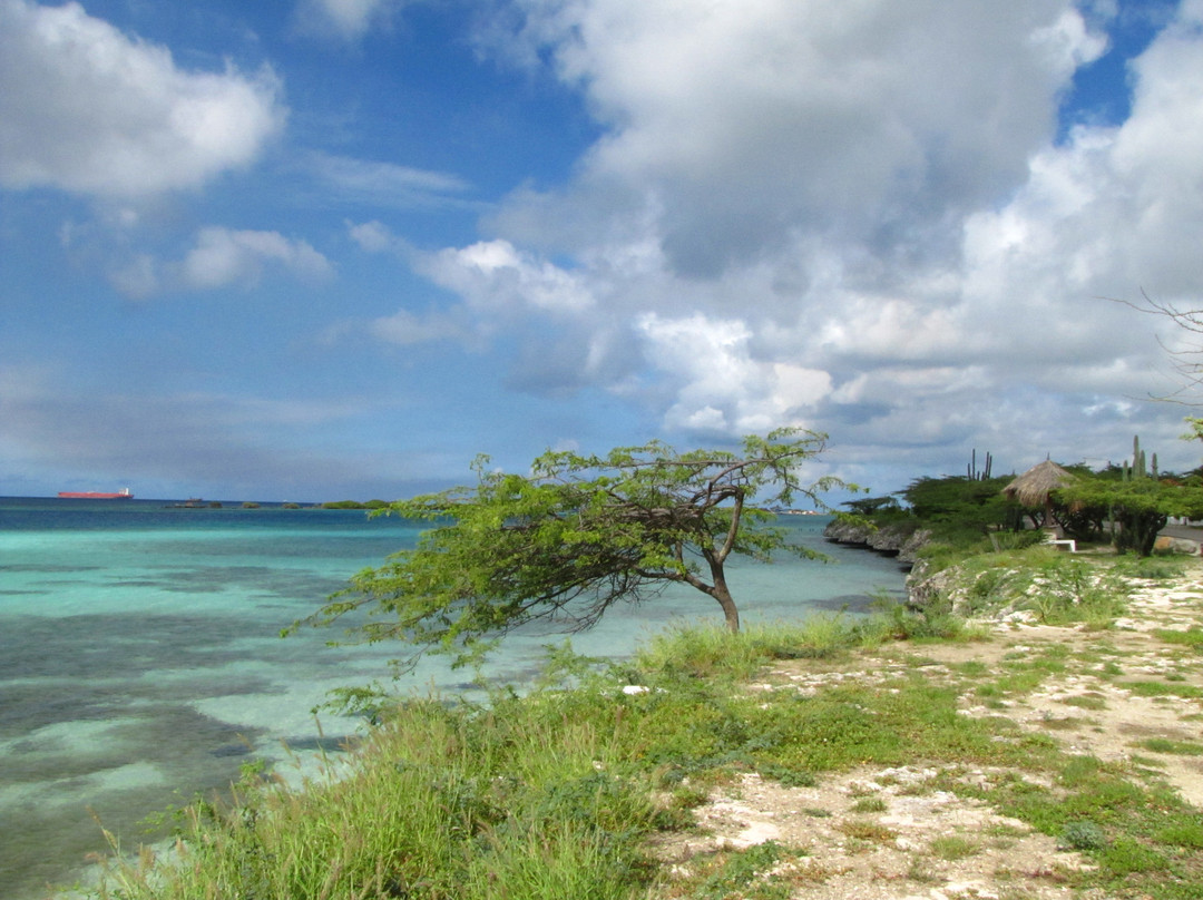Madi Magical Tours-Santa Cruz必去景点
