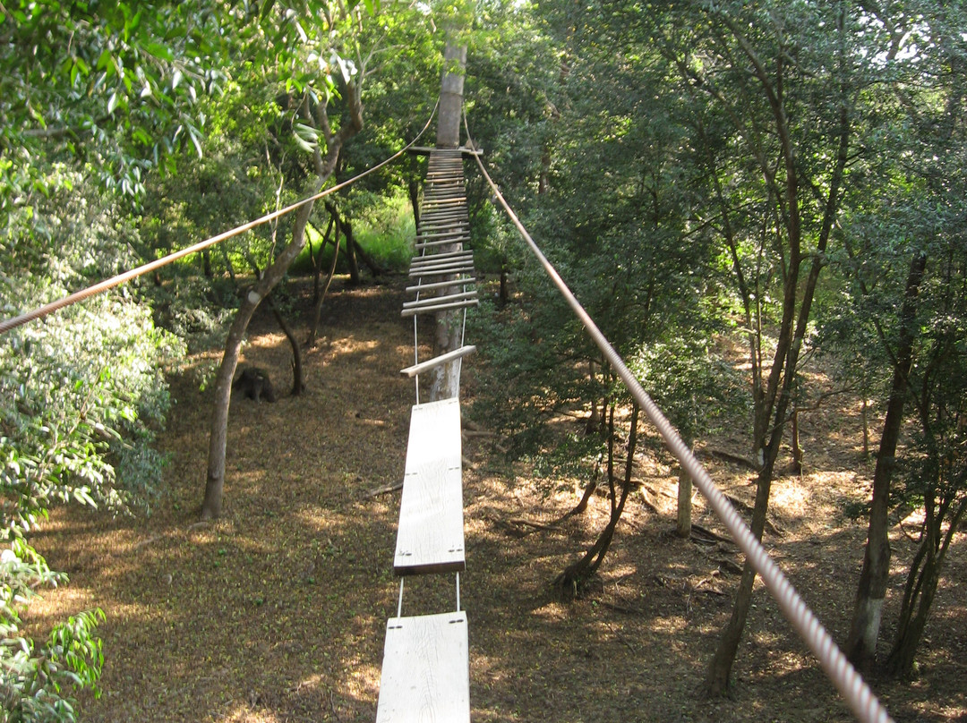 Parque Aventura-印坦巴/芝华塔尼欧必去景点