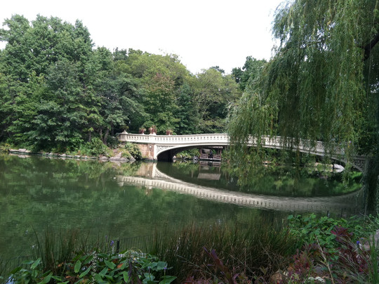 CityRover Walks NY-纽约市必去景点