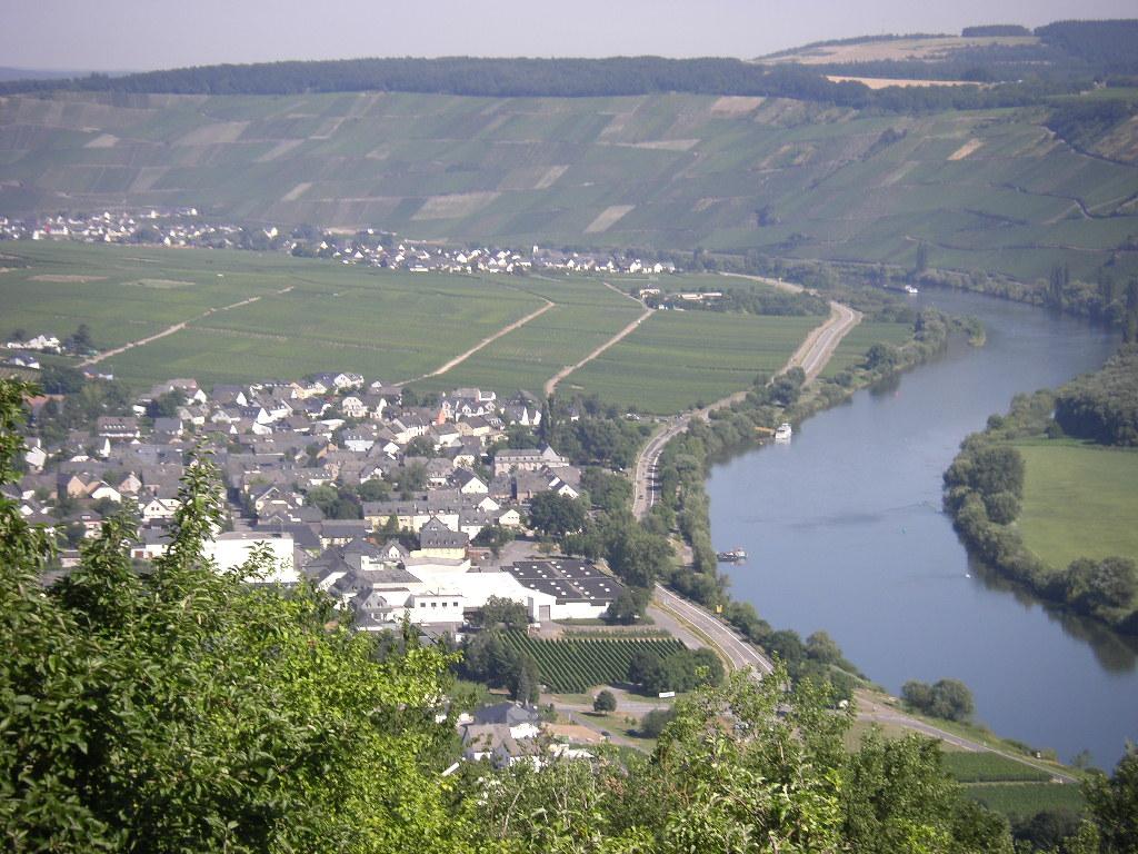 Gastehaus Weinschroterhof-酒店景观