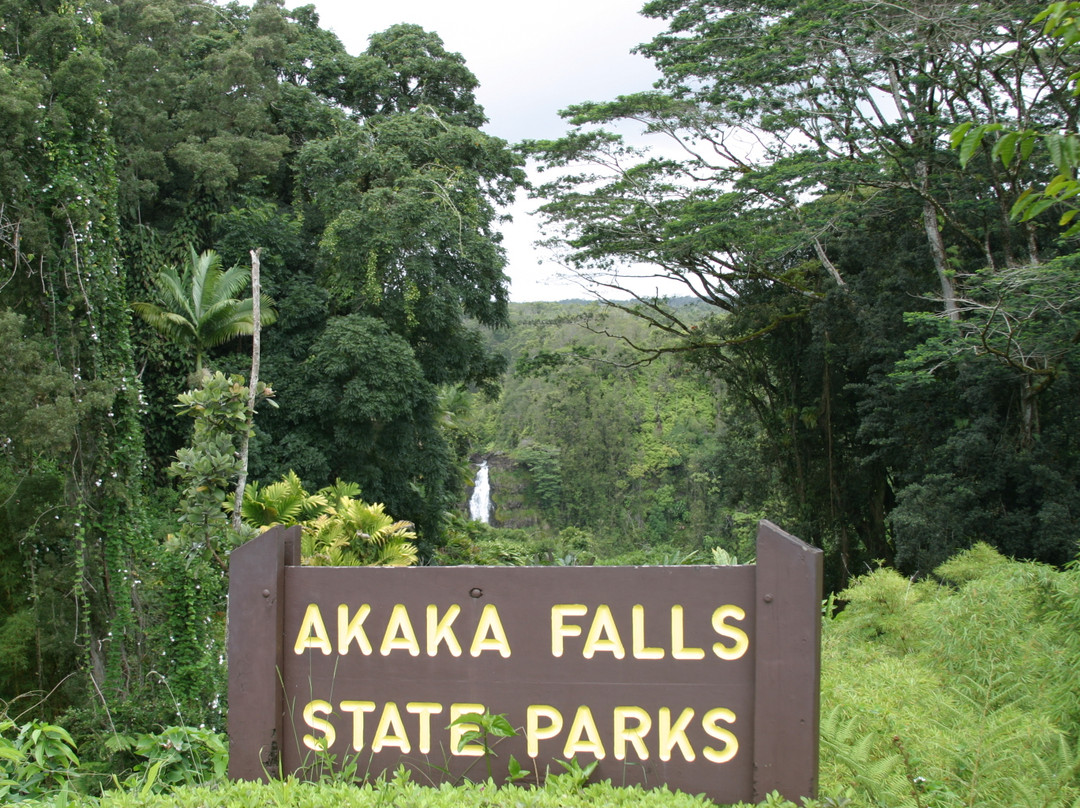 阿卡卡瀑布州立公园-希洛必去景点