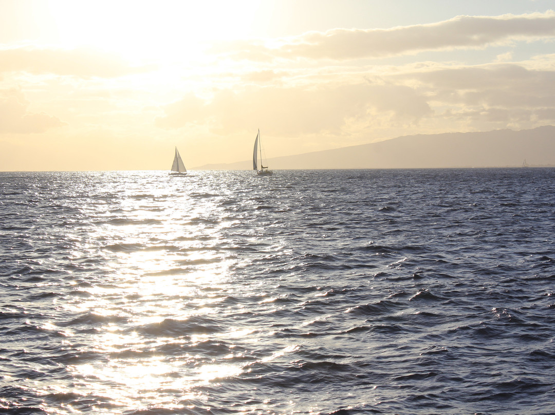 夏威夷爱之船夕阳夜宴游-火奴鲁鲁必去景点