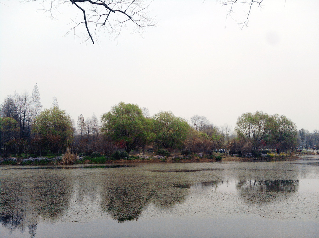 中山植物园-南京市必去景点