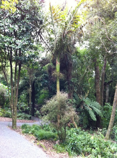 Otari-Wilton's Bush Native Botanic Garden景点图片