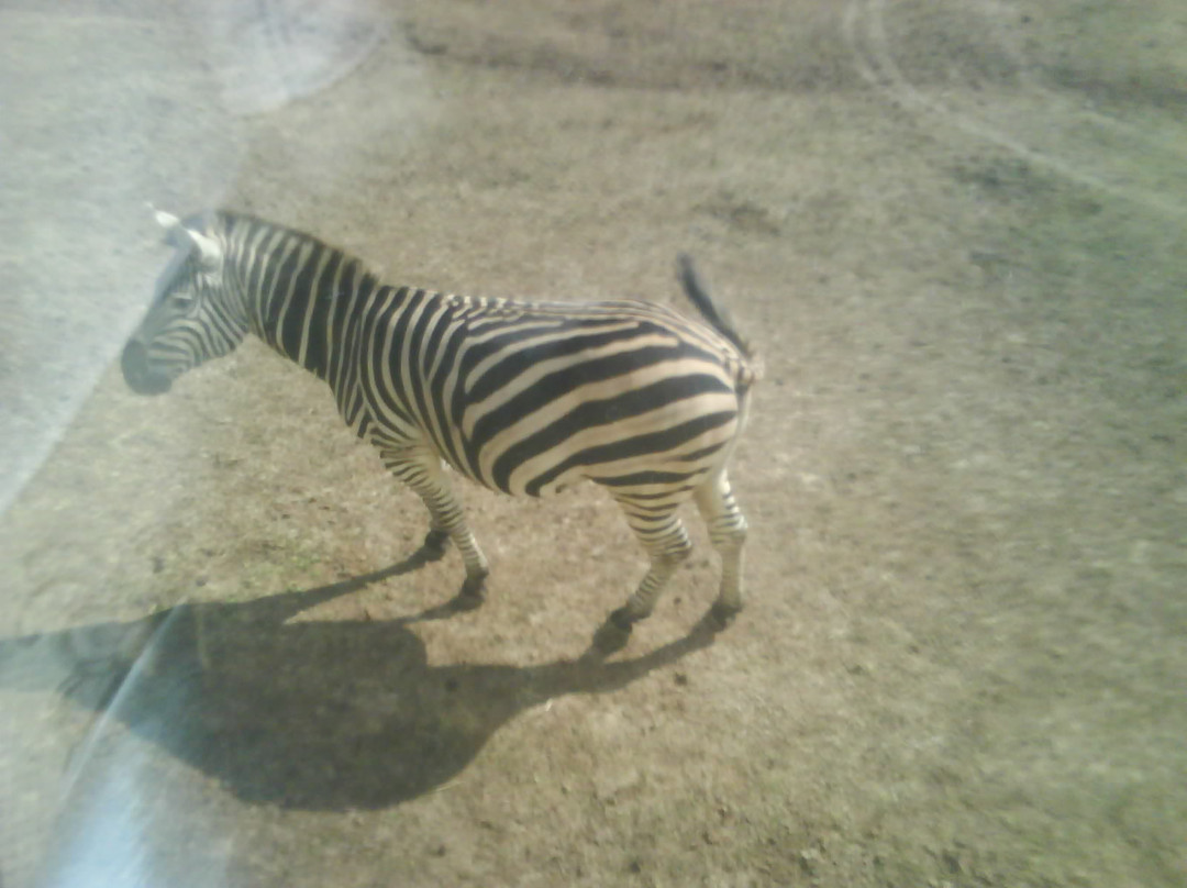 沈阳森林公园-沈阳市必去景点