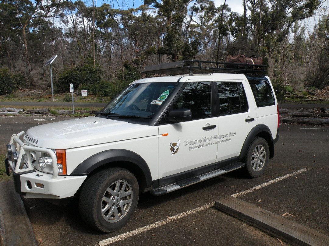 Kangaroo Island Wilderness Tours-袋鼠岛必去景点