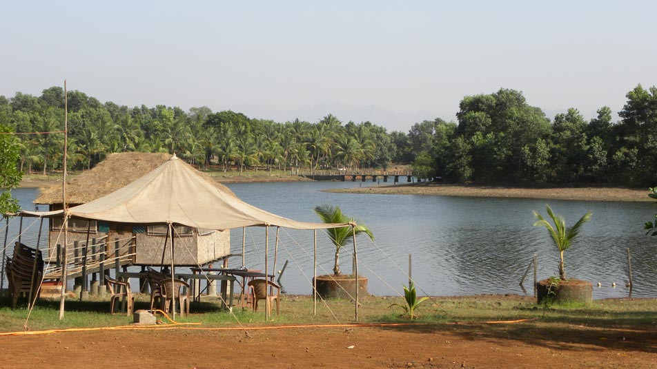 Pooja Farms