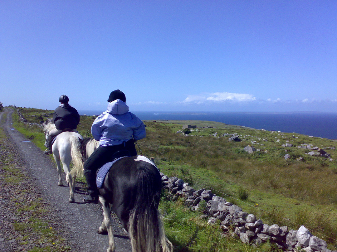 Mountain View Horse Riding Centre景点图片