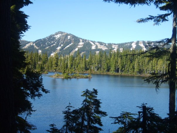 Mount Washington Alpine Resort景点图片