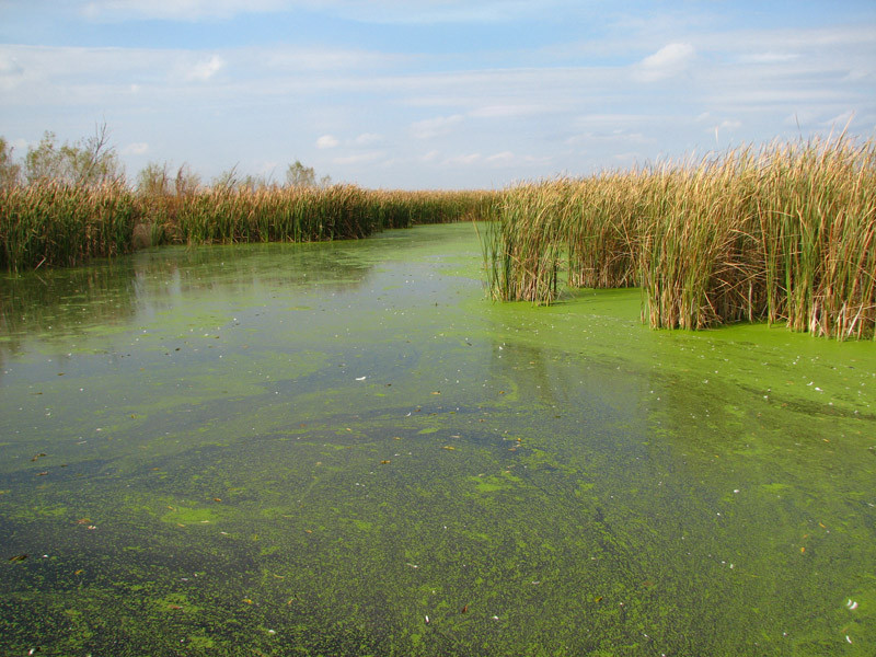 Horicon Marsh-Mayville必去景点