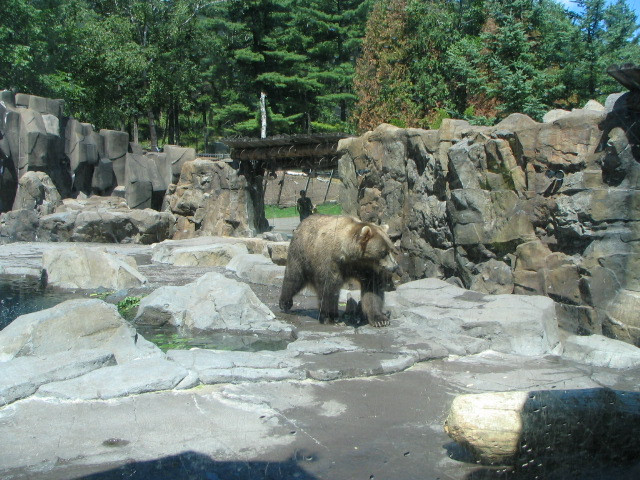 Lake Superior Zoo-德卢斯必去景点