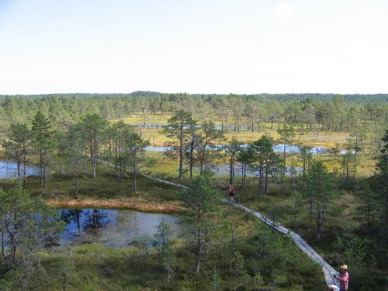 Lahemaa National Park-Vihasoo必去景点