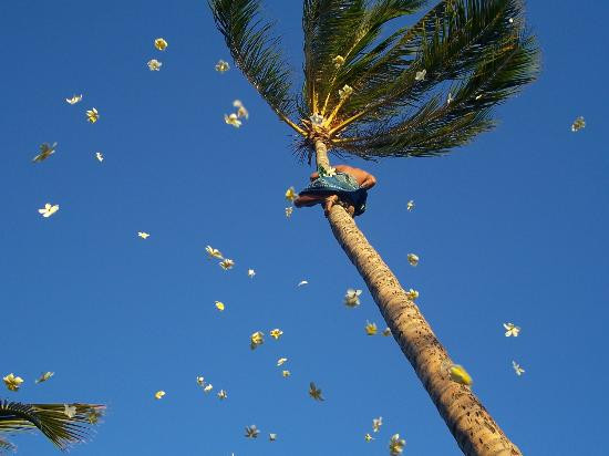 卢奥天堂湾-考普雷必去景点