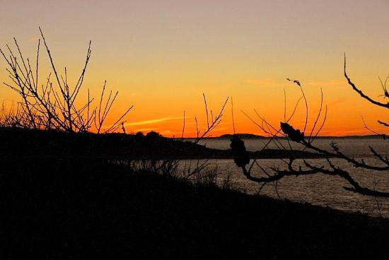 Halibut Point State Park景点图片