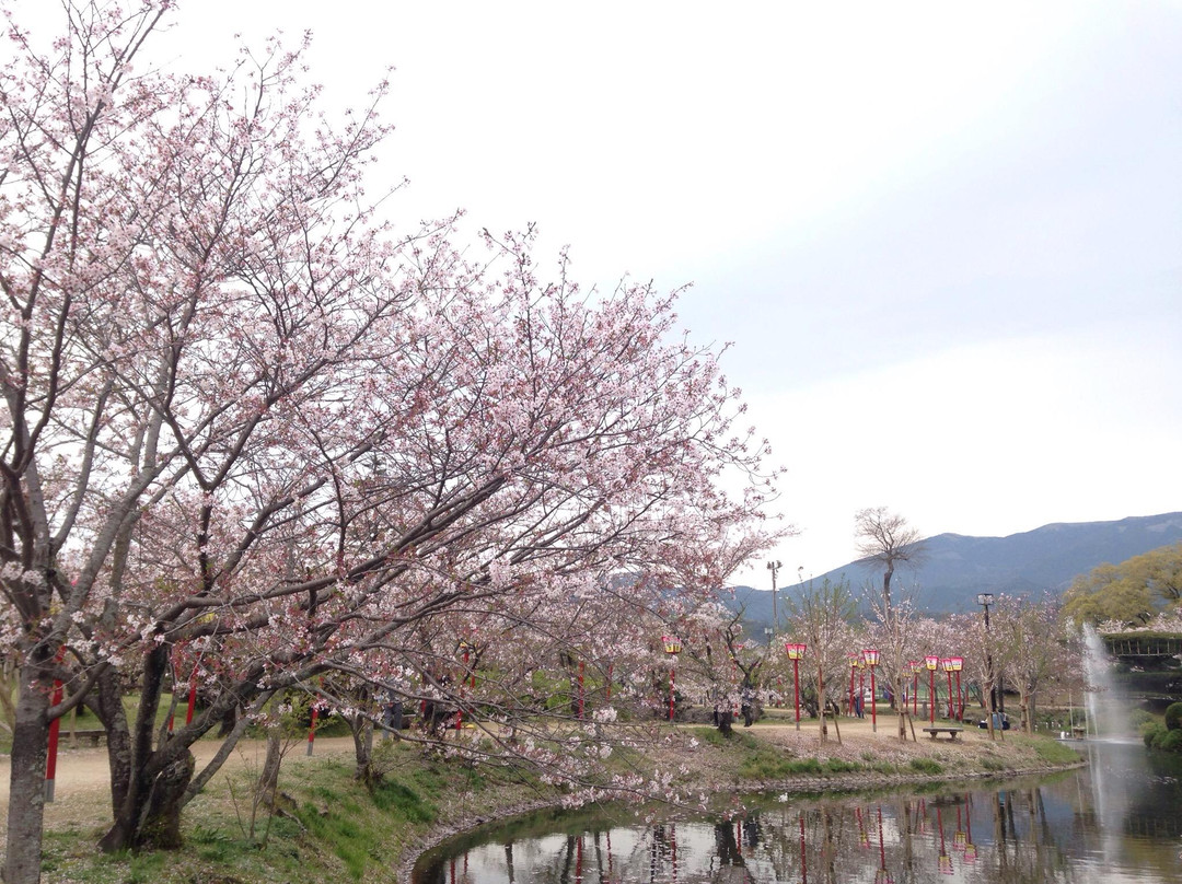Ogi Park-小城市必去景点