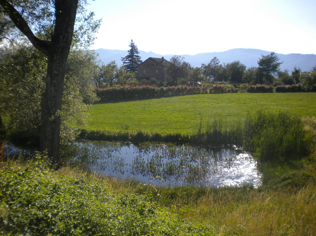 Parco delle Gite景点图片