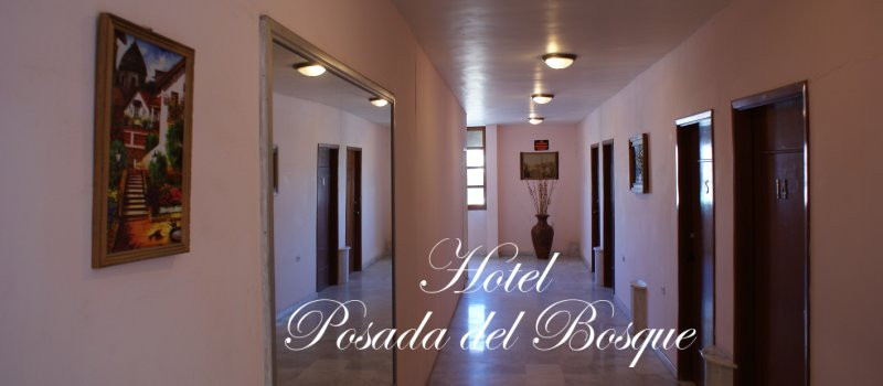 Posada Del Bosque