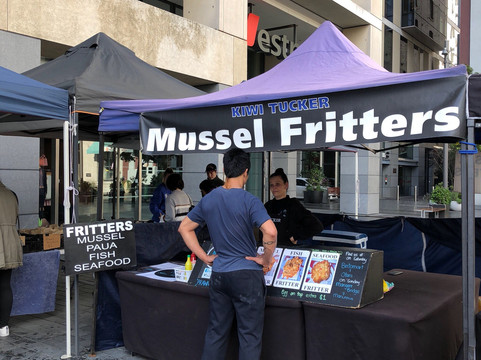 Aucky Walky Tours-奥克兰中心地区必去景点