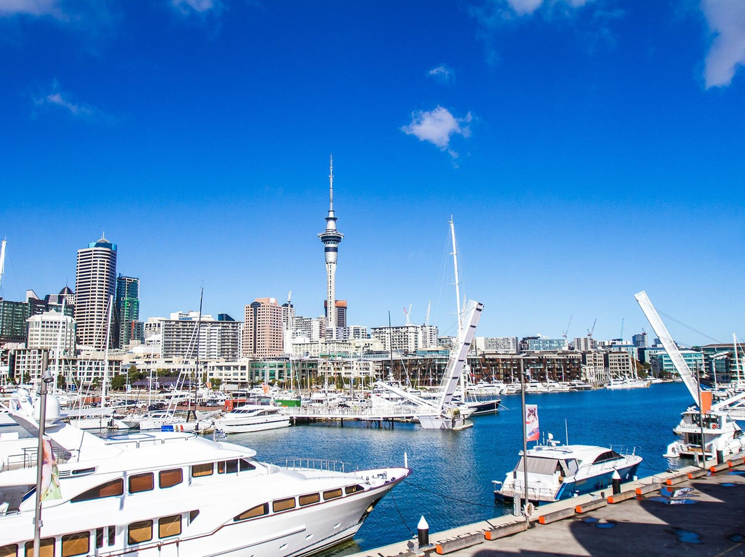 Discover New Zealand景点图片