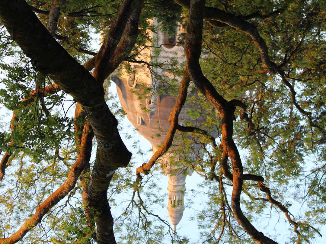 Arboretum de Lisieux景点图片