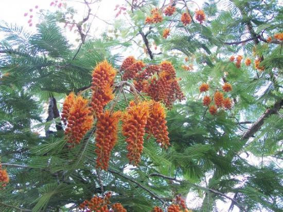 威美亚山谷-哈雷瓦必去景点