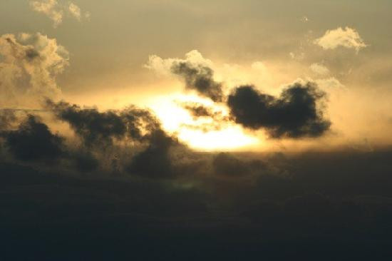 卡莫利加公园-底特律必去景点