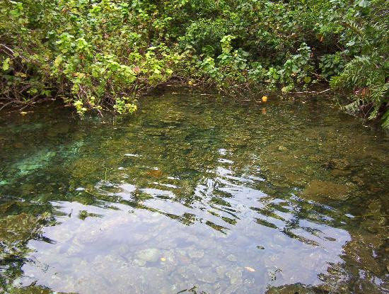 土著眼生态公园-蓬塔卡纳必去景点