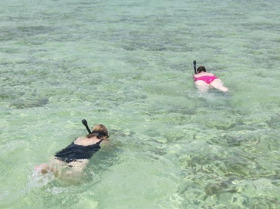 Wild About Dolphins-基韦斯特必去景点