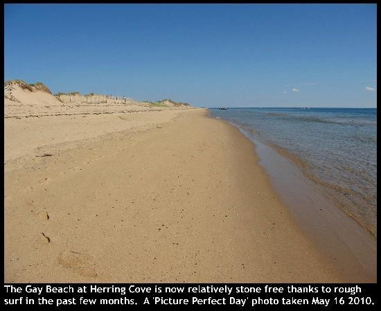 Herring Cove Beach景点图片
