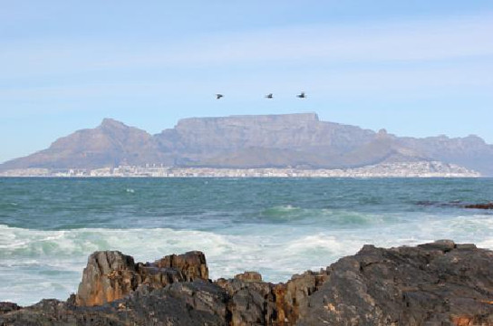Mytours Day Tours-开普敦中心区必去景点