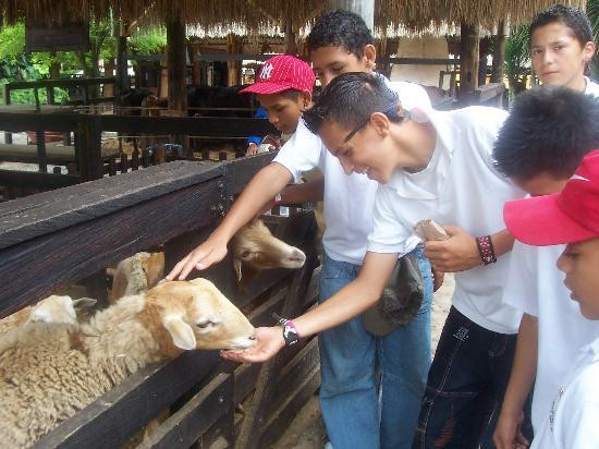 Panaca-Quimbaya必去景点