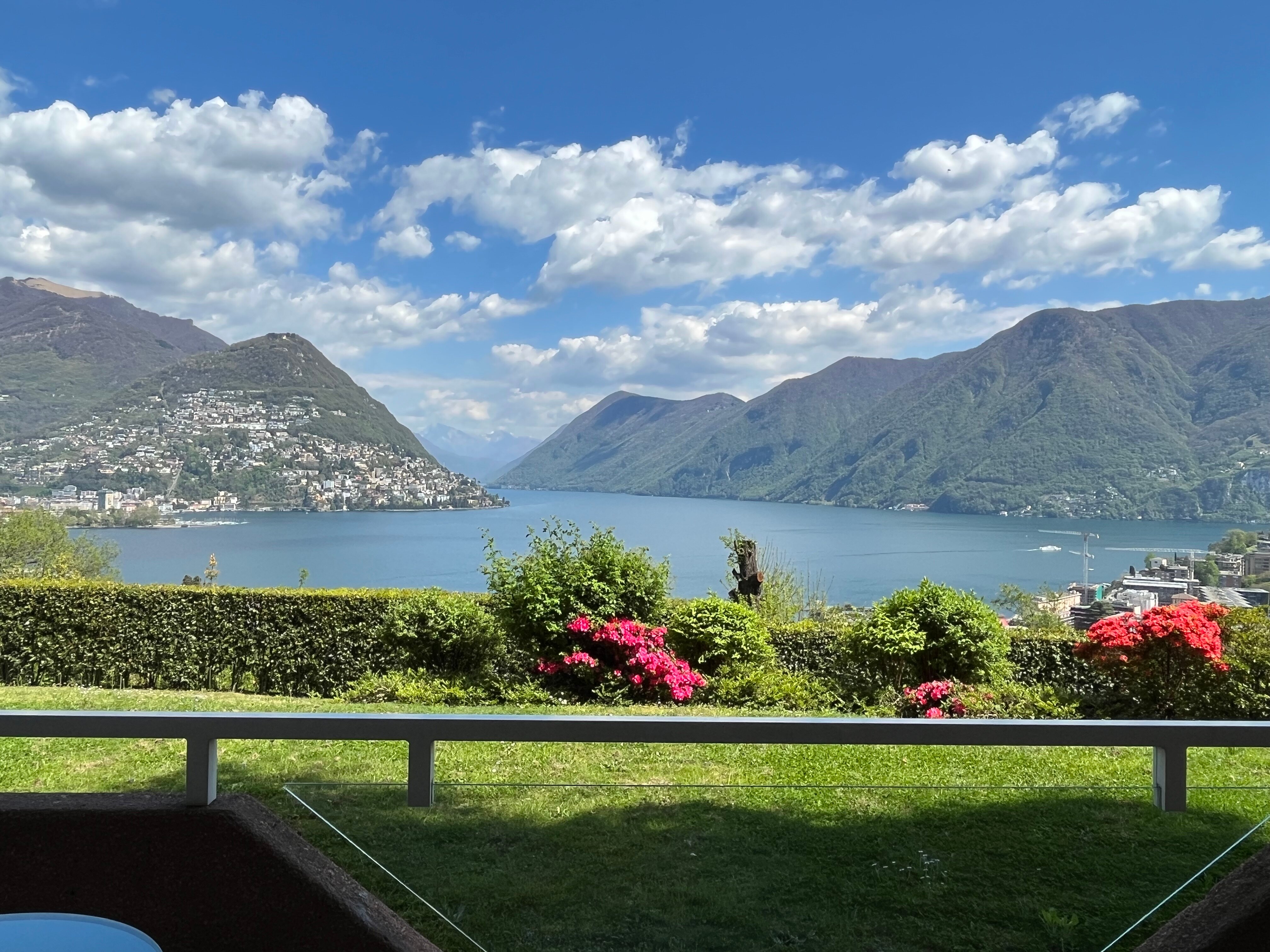Villa Principe Leopoldo-酒店景观