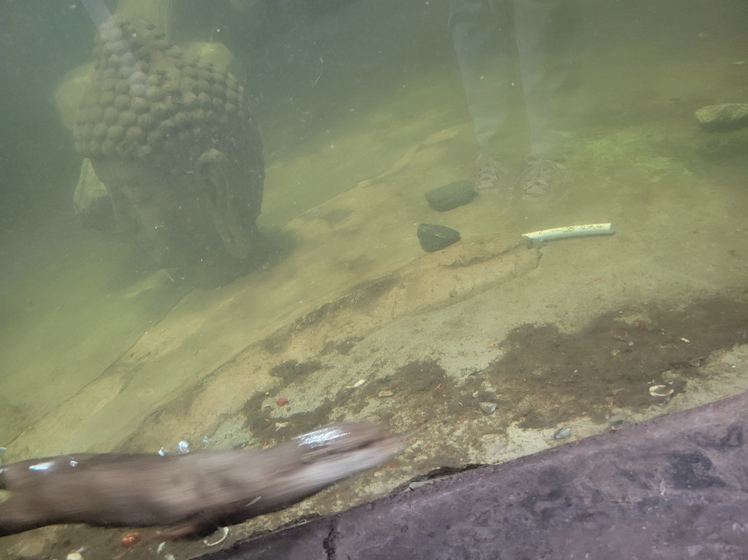 SeaQuest Trumbull-特兰伯尔必去景点