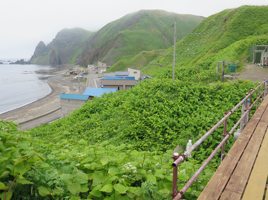 Jizoiwa-礼文町必去景点