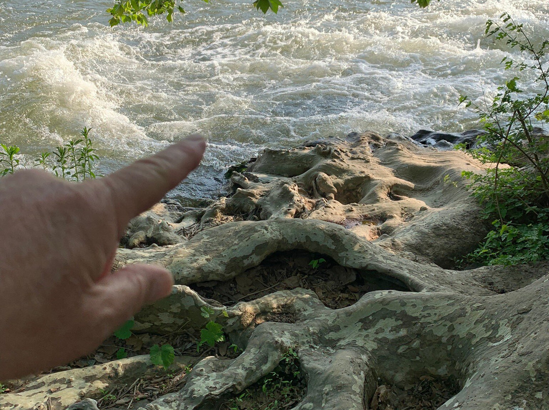 Shenandoah River Outfitters-卢雷必去景点