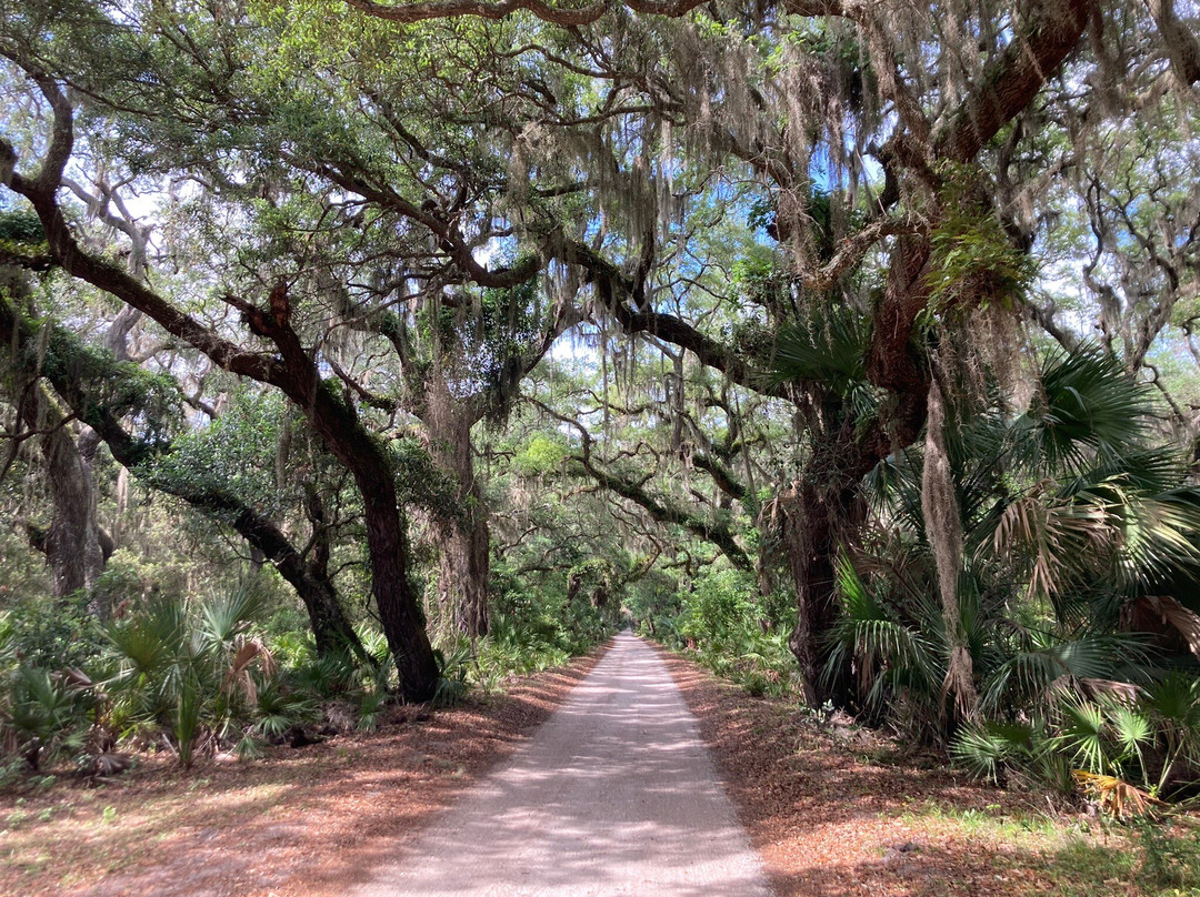 Cumberland Island National Seashore景点图片