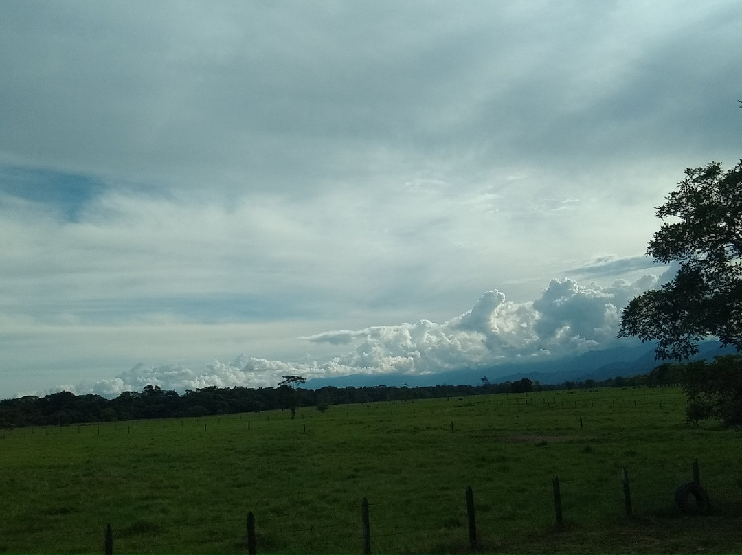 Ceiba de la Libertad-Gigante必去景点