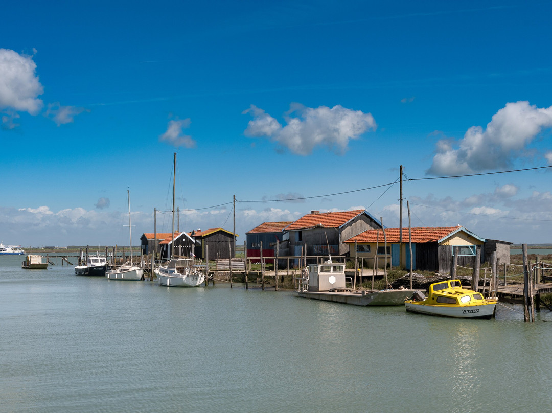 Port de la Grève景点图片
